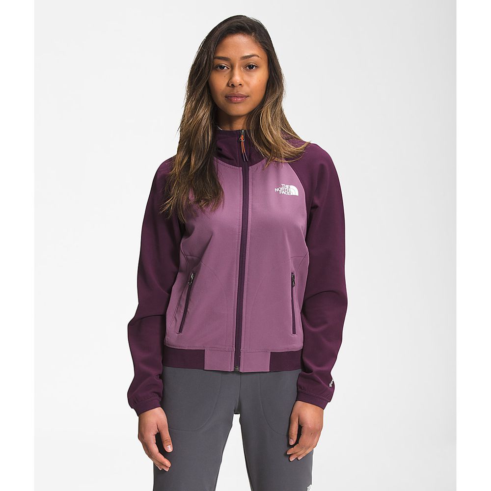 The North Face Hoodie Womens Australia - The North Face Tekware® Fleece Purple / Black (VRL-317629)